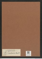 Stelladiscus sp. (de-Toni-Nr.: Genus 237) Zeichnungen Sammlung Grunow Mappe 05423 (Herbarium_W_Grunow_drawings_Folder_05423)